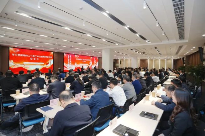 1733110017746683.jpg 03.jpg